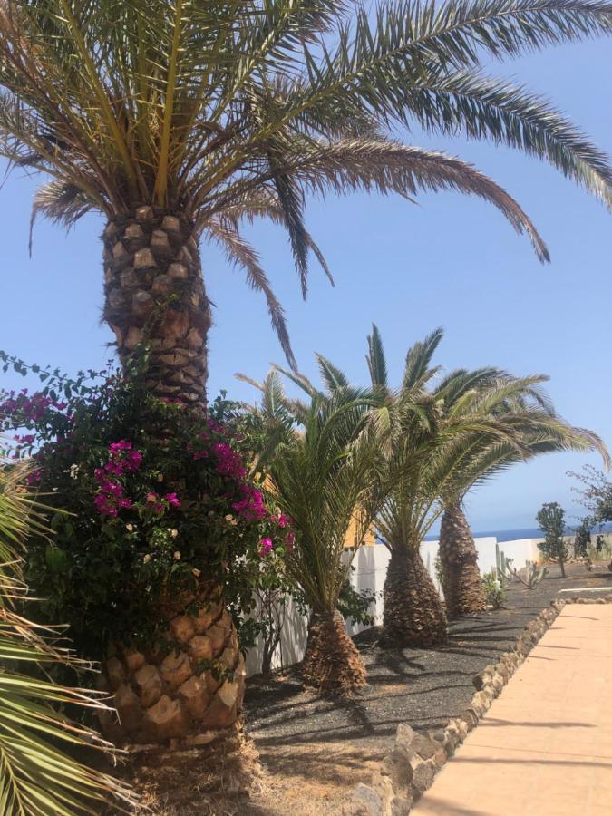Apartamento La Tortuga De Fuerteventura Коста де Антигуа Екстериор снимка